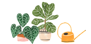 planten-water-geven planten-water-geven