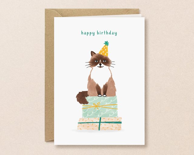 verjaardagskaart ragdoll kat met feestmuts op cadeaus