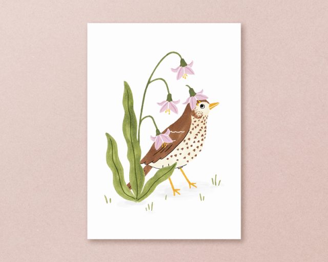postkaart met handgemaatke illustratie van zanglijster met bloem op z'n hoofd naast een plant met die bloemetjes